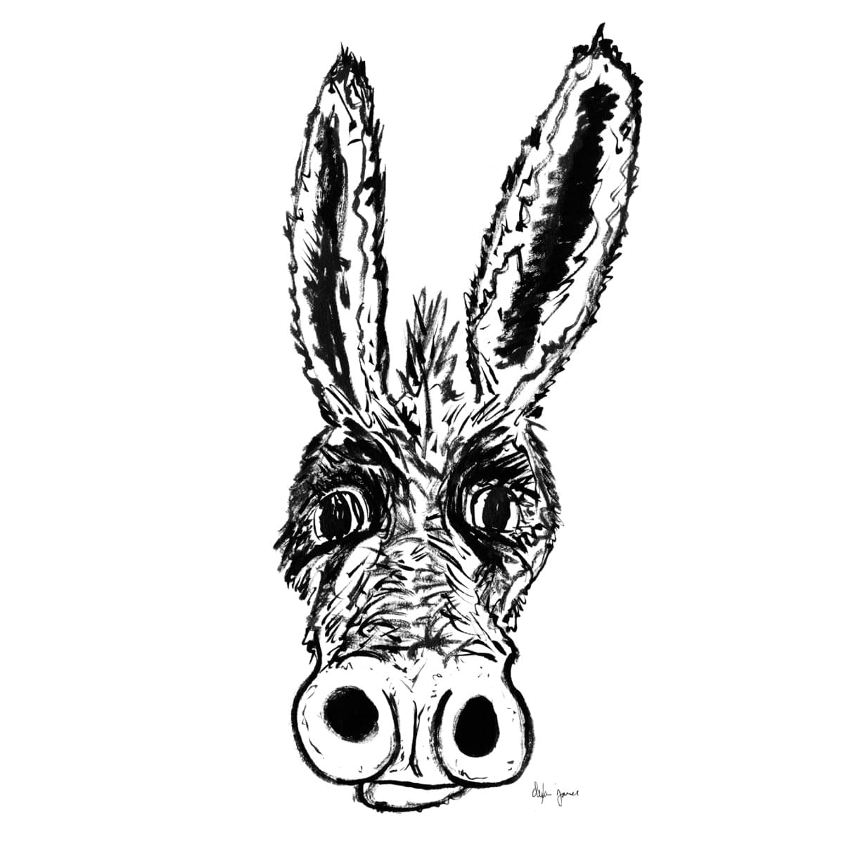 Illustration dylan-yarter-ink-illustration-donnie-donkey