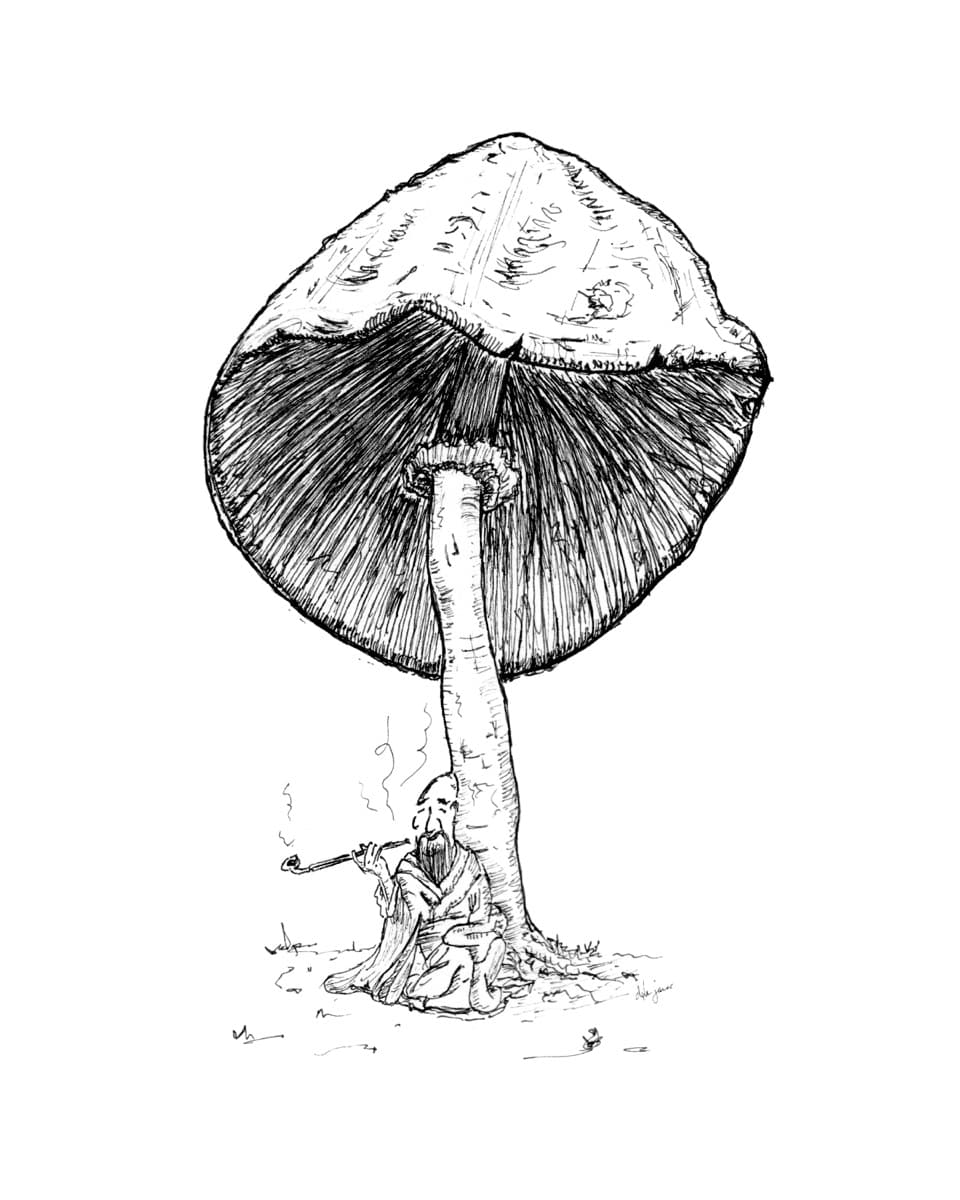 Illustration dylan-yarter-ink-illustration-mushroom-02