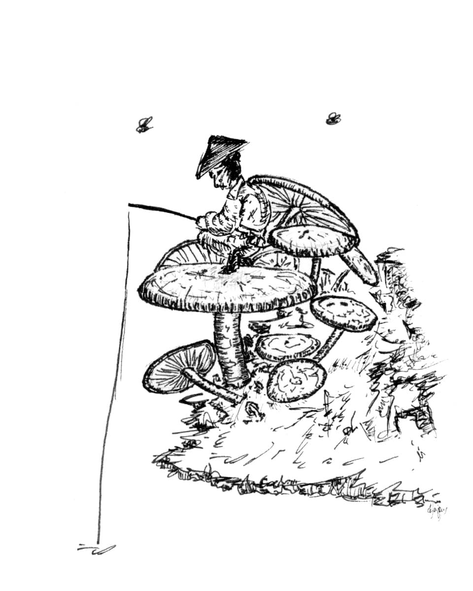 Illustration dylan-yarter-ink-illustration-mushroom-05