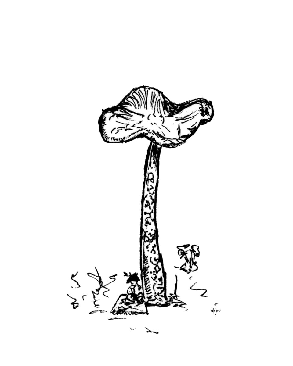 Illustration dylan-yarter-ink-illustration-mushroom-06
