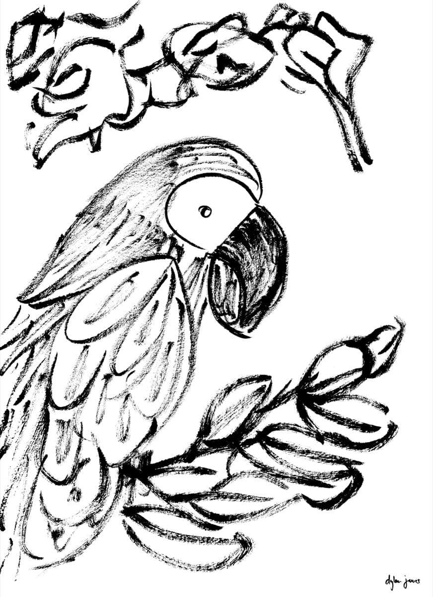 Illustration dylan-yarter-paper-illustration-002