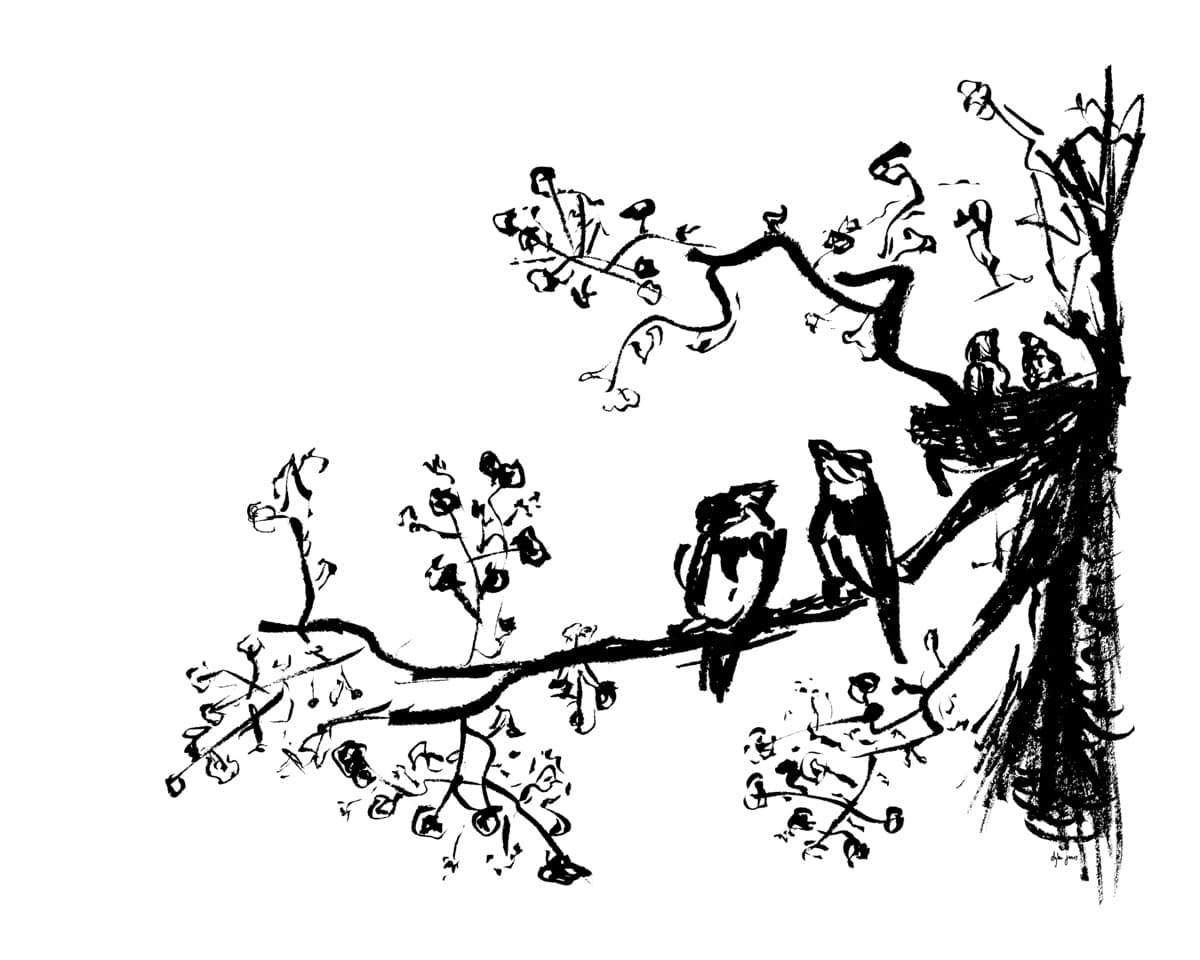 Illustration dylan-yarter-paper-illustration-005